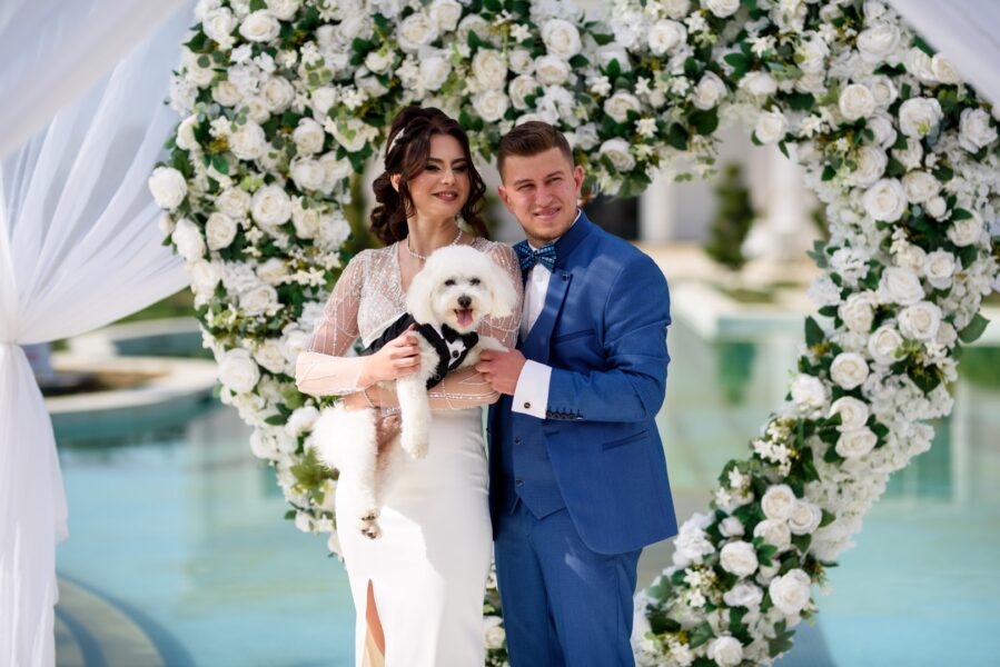 Clip Cununia Civila Denisa & Florin