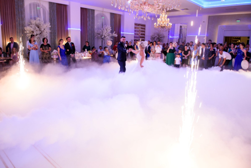 Nunta-Andreea-Marian-00101