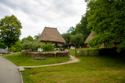 RoxanaFlorentin 00093